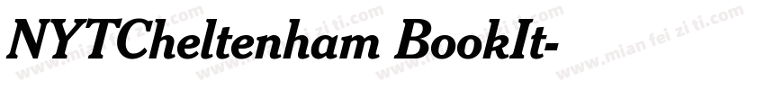 NYTCheltenham BookIt字体转换